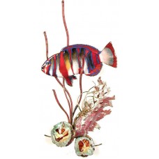 Harlequin Tusk Fish in Coral Metal Wall Art Sculpture- Bovano of Cheshire W1668   311657433945